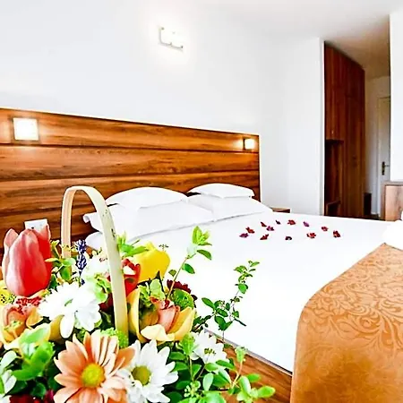 Hotel Complex Tismana 3* 3*